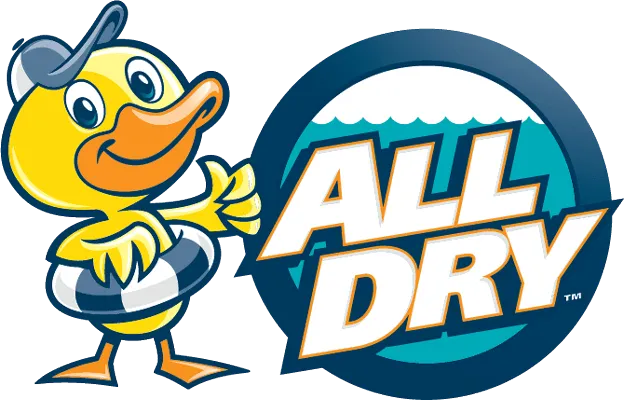 All Dry Services